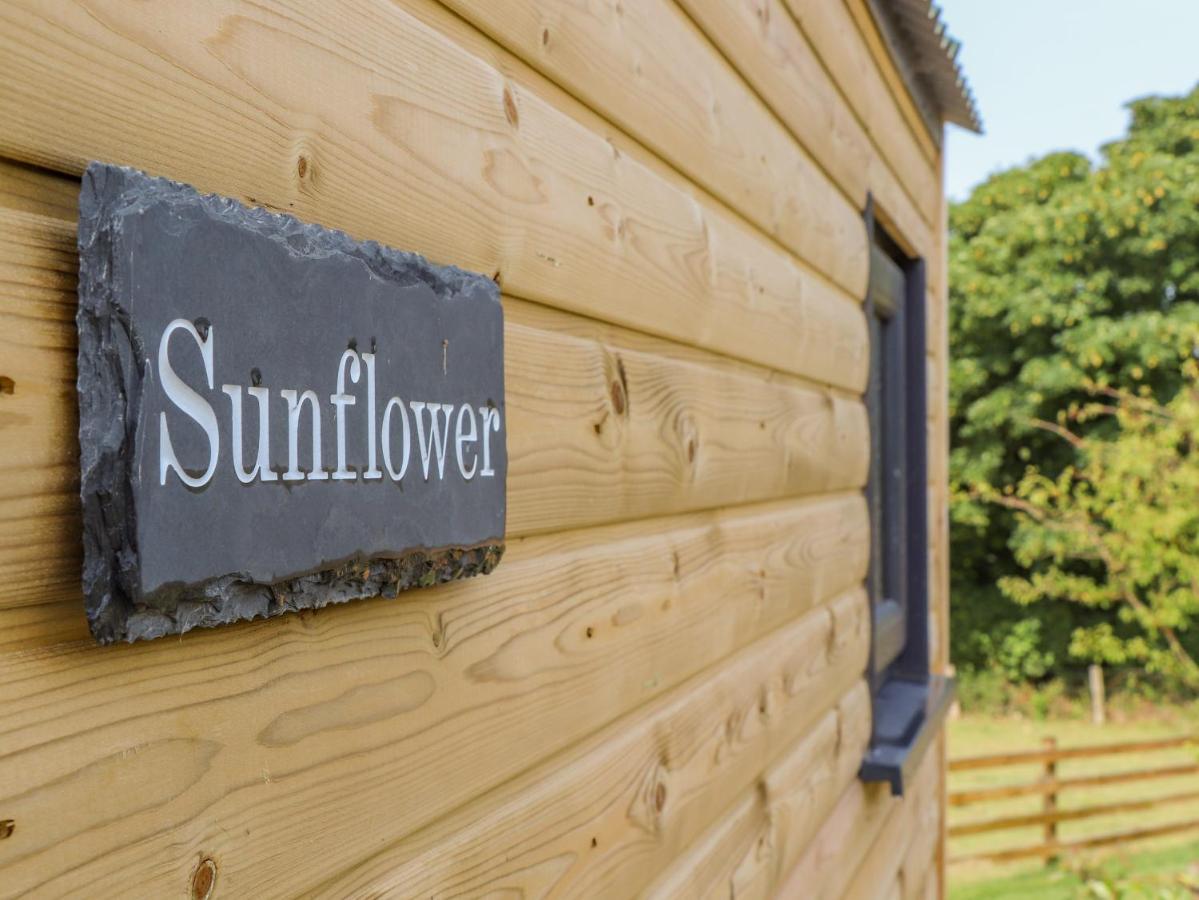 Sunflower Redruth Extérieur photo
